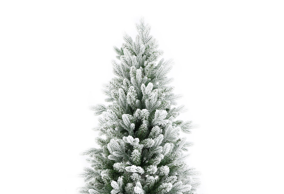 Κοντινή λήψη των χιονισμένων κλαδιών του Snowy Farah Fir, που δίνουν την αίσθηση ενός φυσικού, χιονισμένου έλατου.